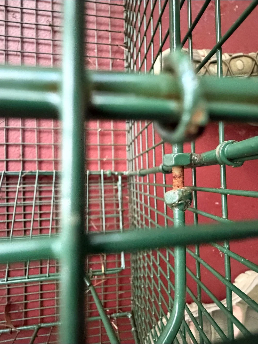 Duke Traps HD Large Cage Trap with Top Carry Handle